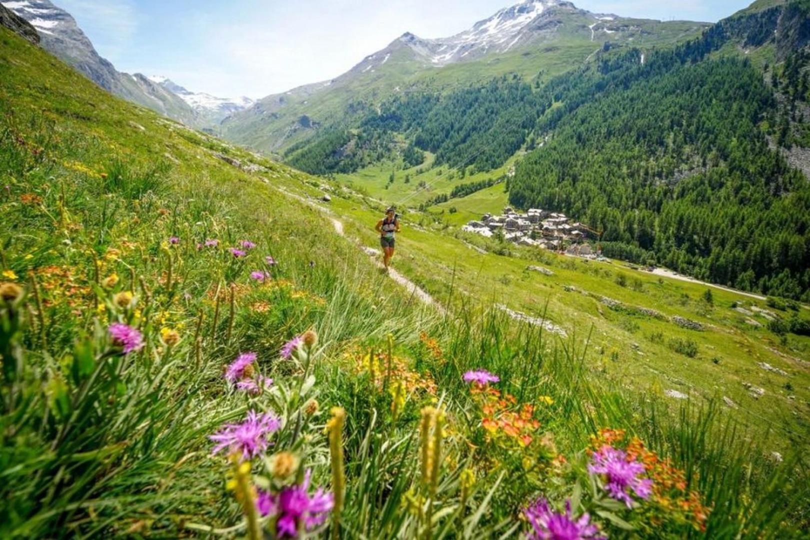 Apartment Arve - Chamonix Peaks Retreat Dış mekan fotoğraf